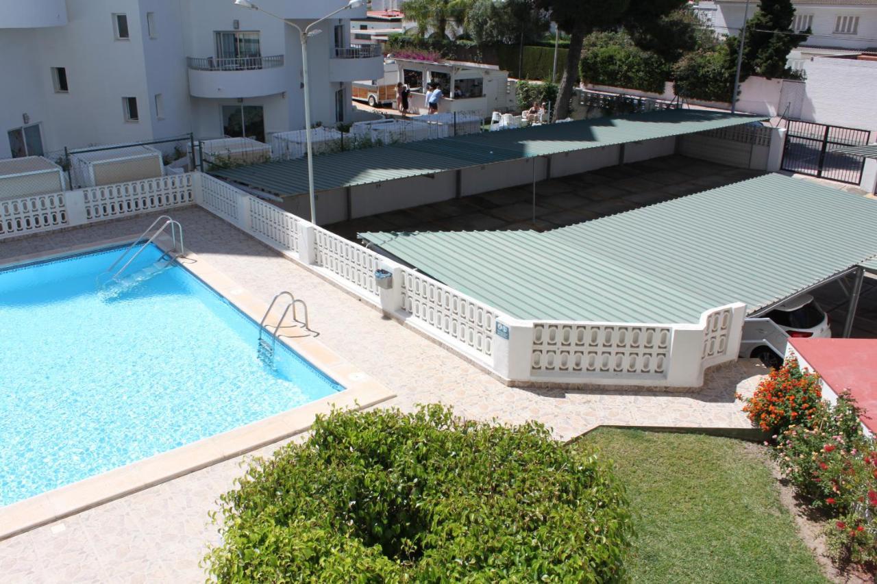 Flamingo Solo Familias Serviplaya Playa de Gandía Exterior foto